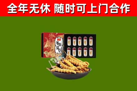 伊吾烟酒回收冬虫夏草礼盒.jpg