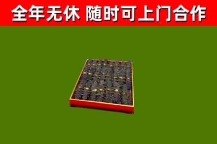 伊吾烟酒回收海参.jpg